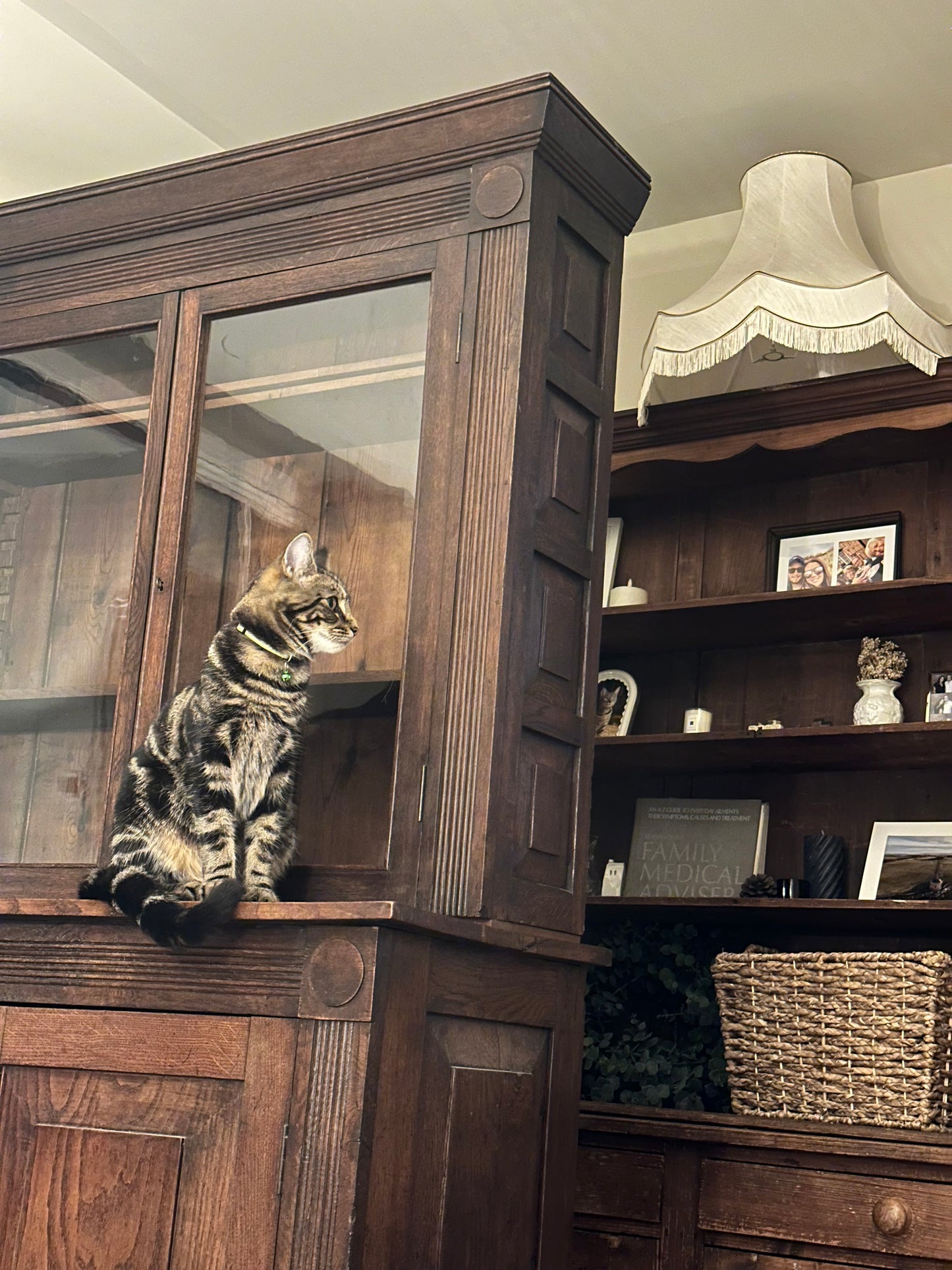 19th Century Oak Kitchen Dresser