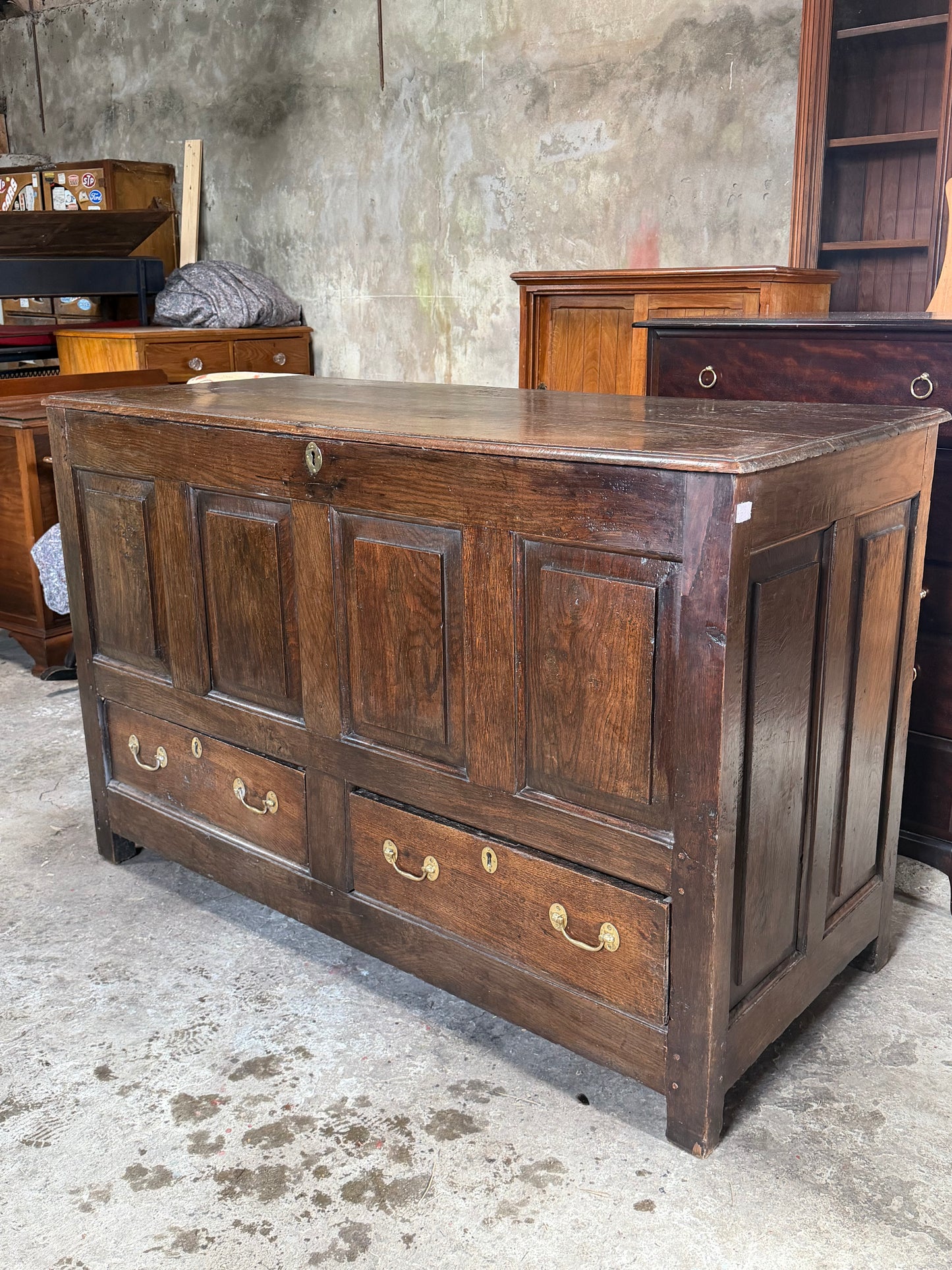 Georgian Mule Trunk