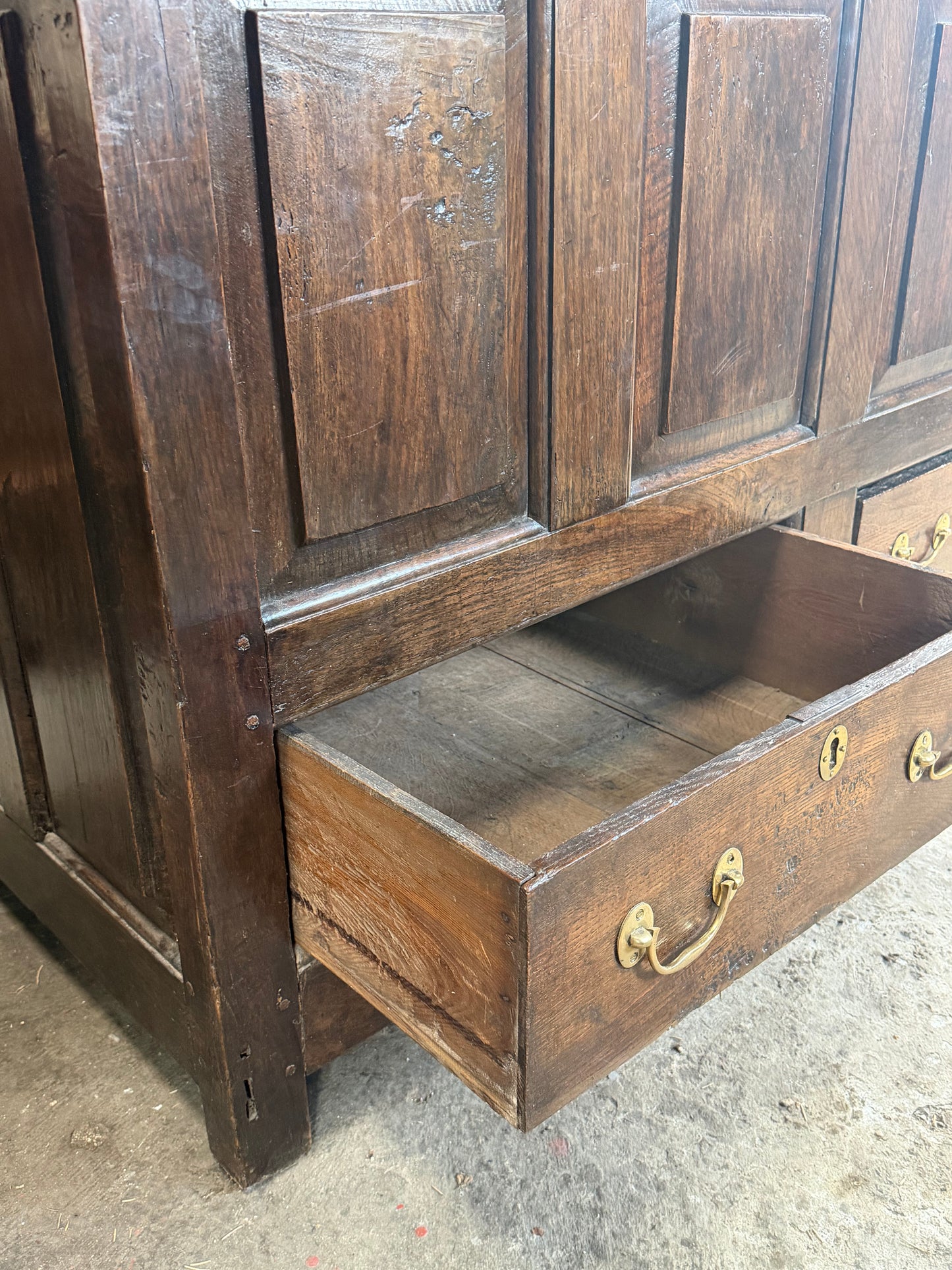 Georgian Mule Trunk