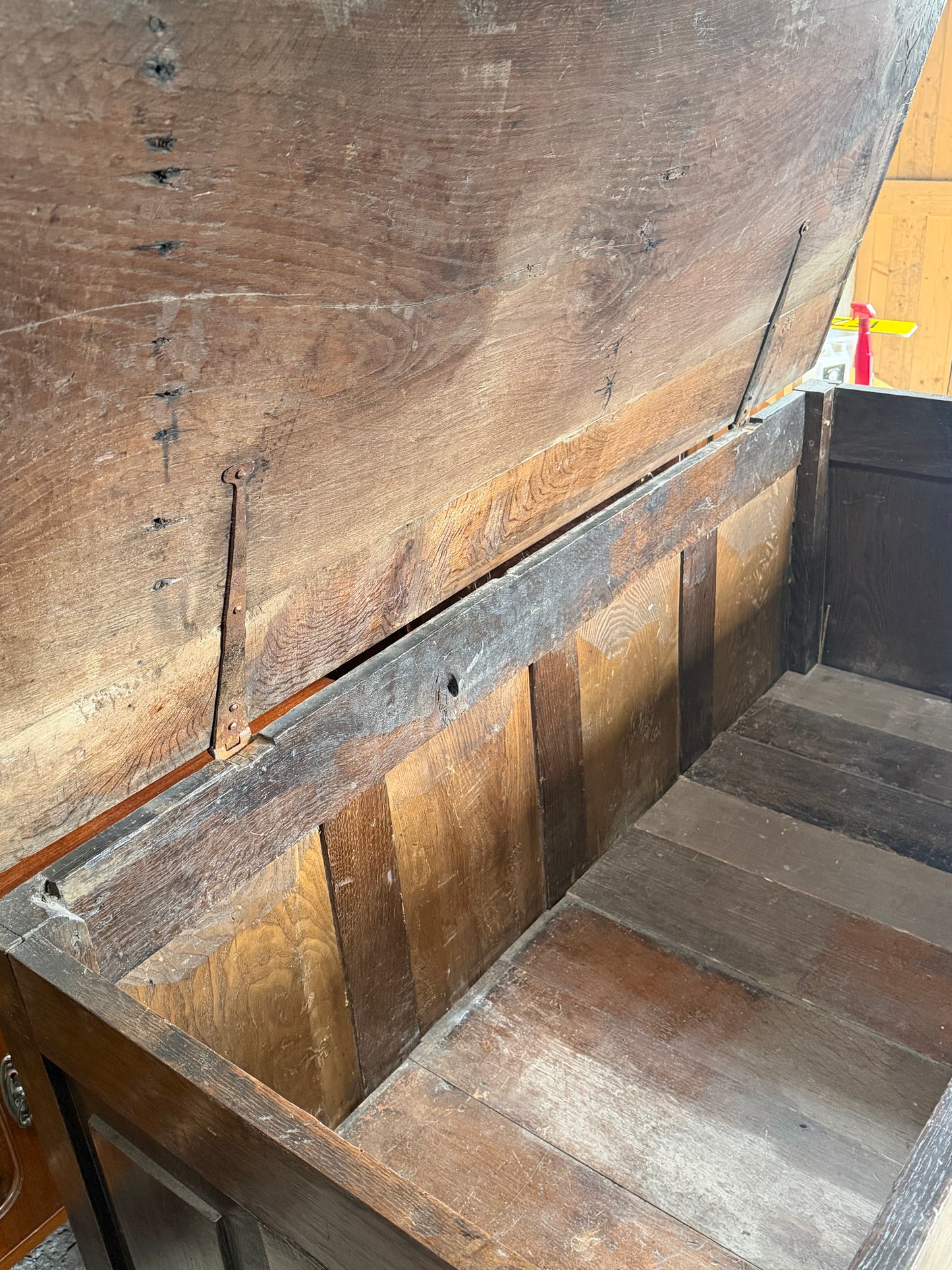 Georgian Mule Trunk